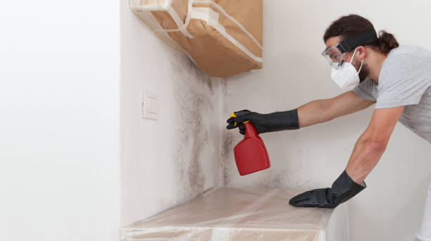 Professional Attic Mold Removal technician working in Fuquay-Varina, NC