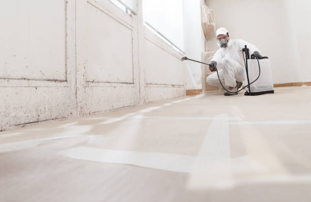 24/7 Emergency Attic Mold Removal experts in Fuquay-Varina, NC