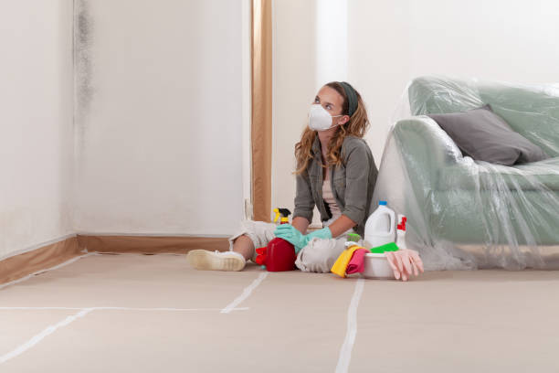 Reliable Attic Mold Removal contractor in Fuquay-Varina, NC by WQB Mold Removal